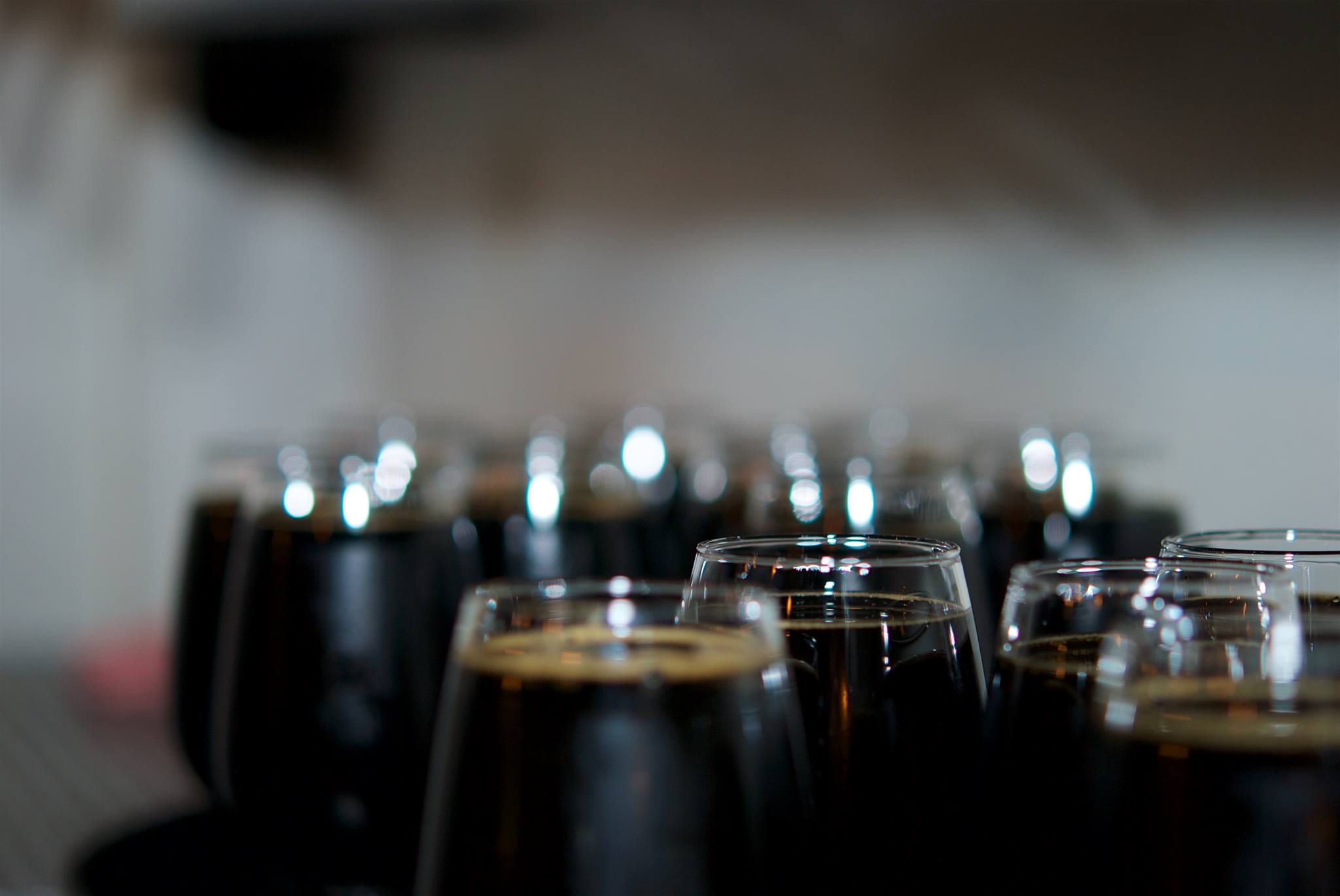 15502653_10211584787515235_290308710_o