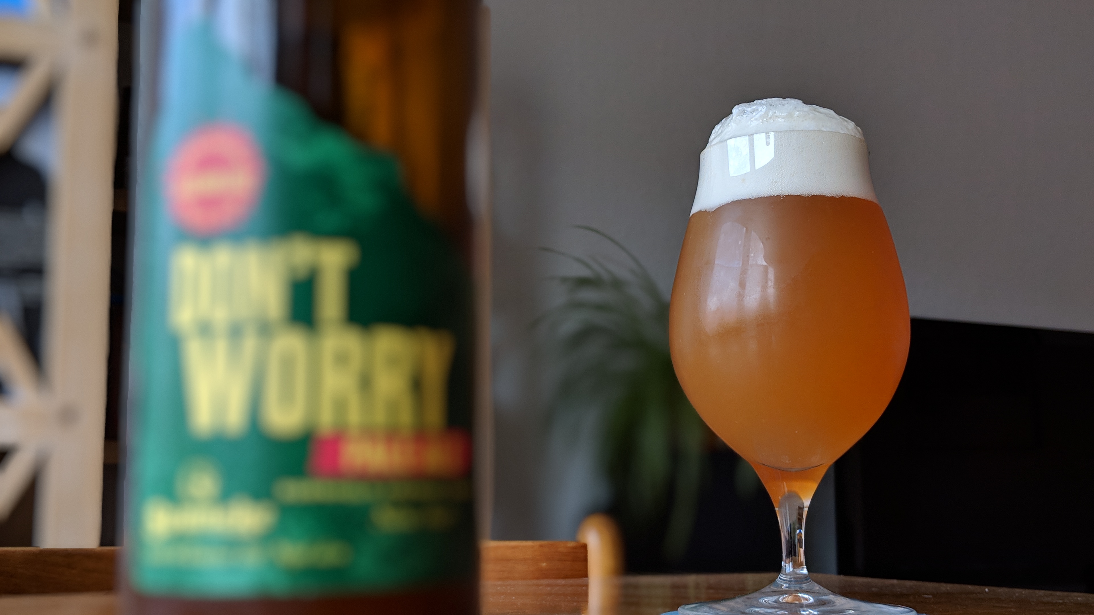 00100dPORTRAIT_00100_BURST20180802133522228_COVER