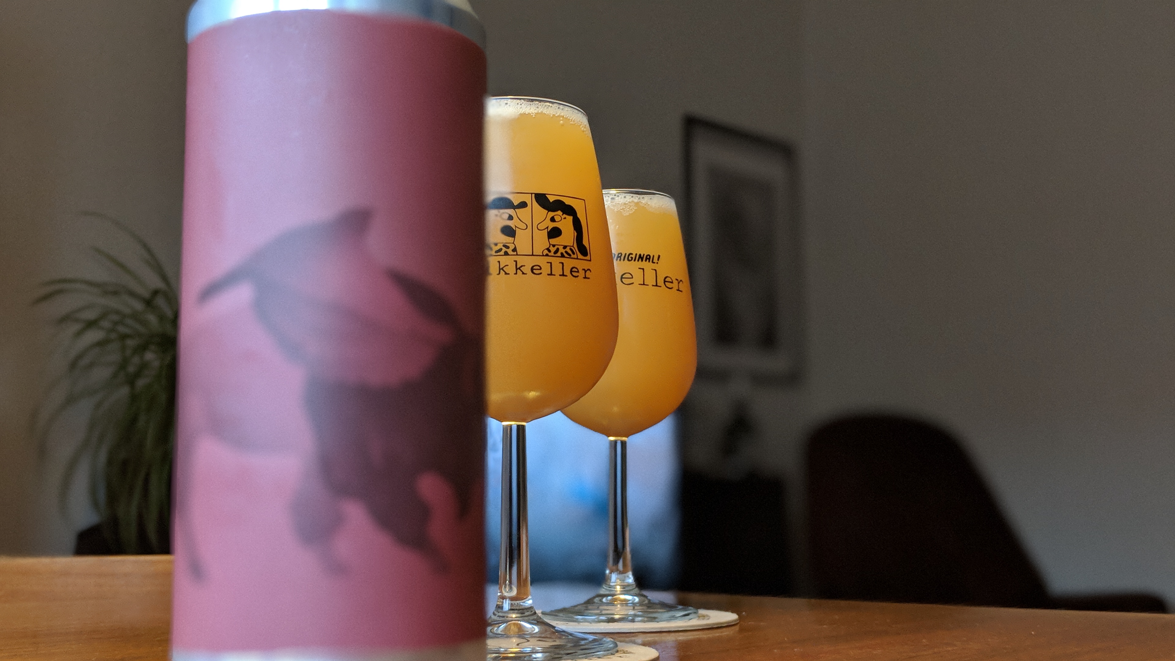 00100dPORTRAIT_00100_BURST20180812195220143_COVER