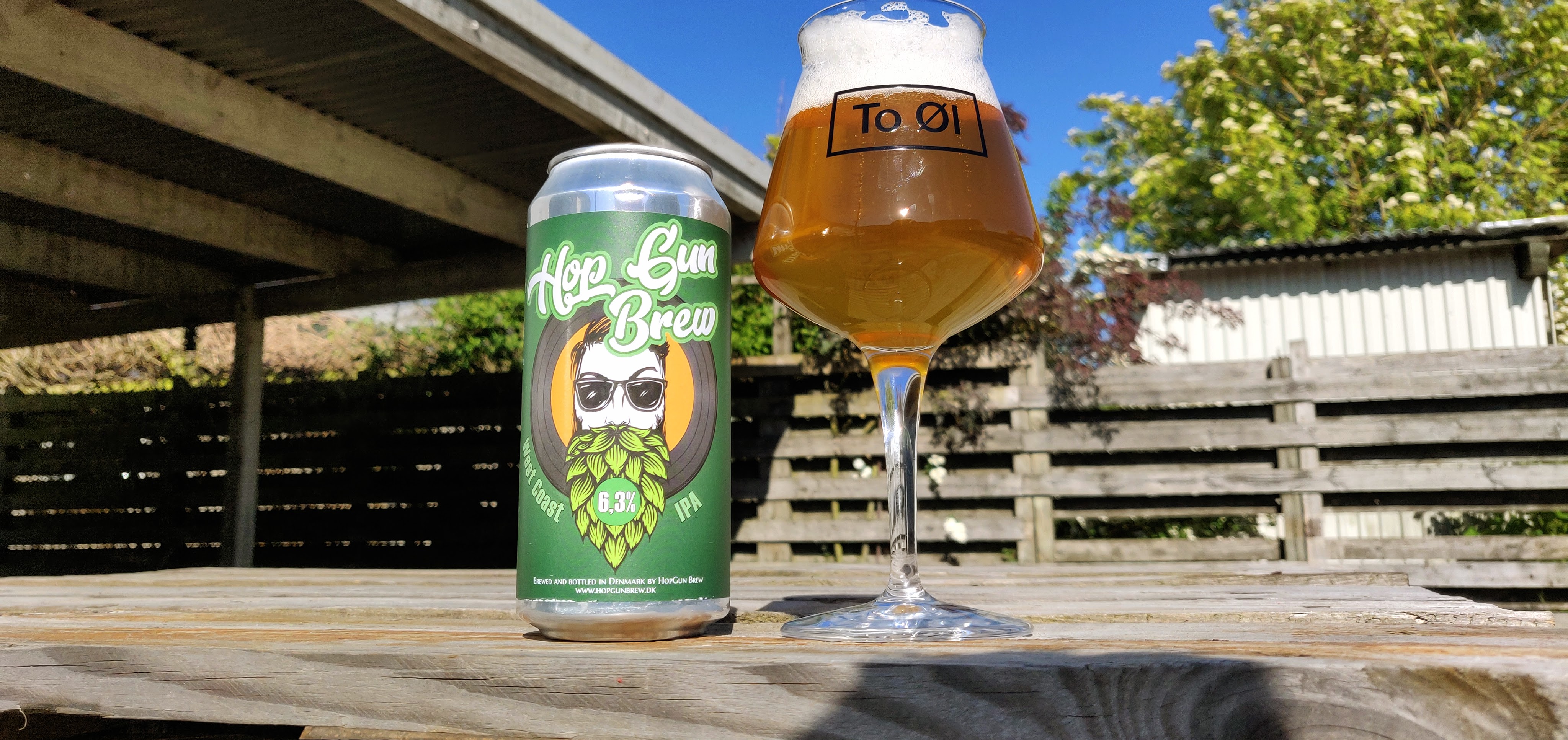 HopGun Brew – Cassiopeia