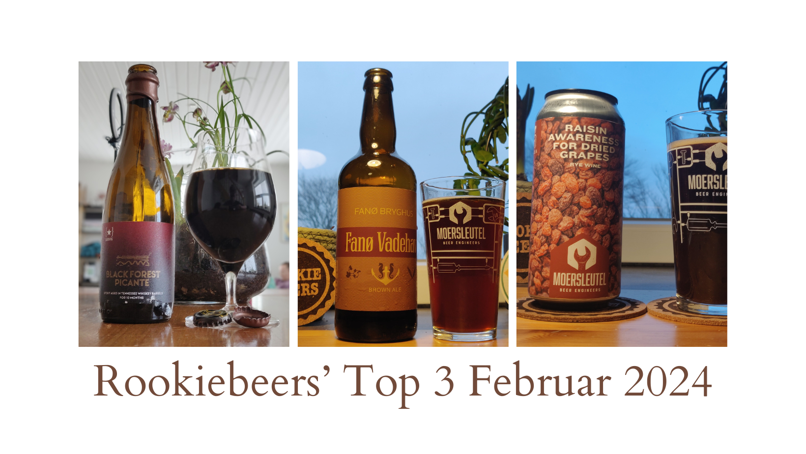 Rookiebeers’ Top 3 Februar 2024