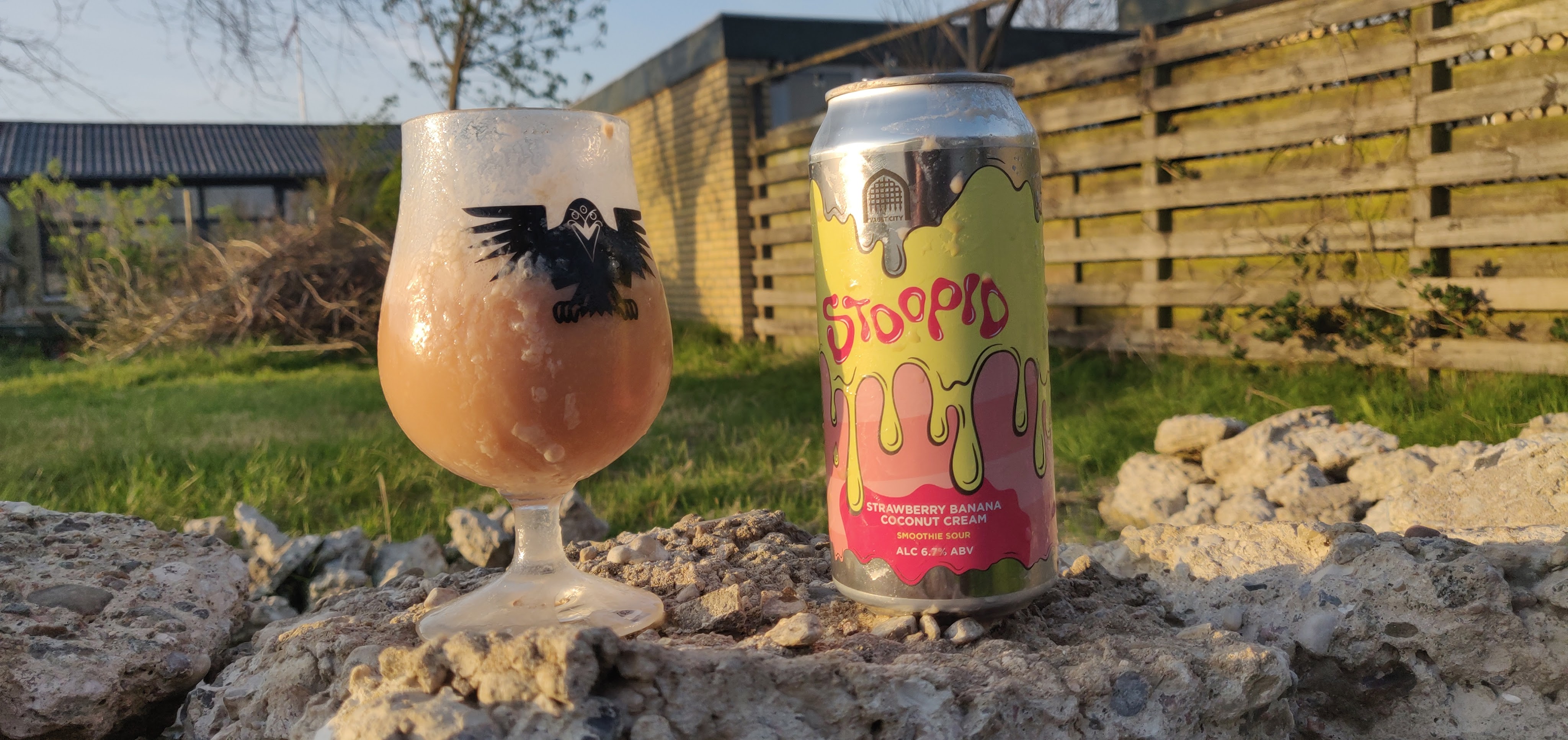Vault City Brewing – Stoopid | Strawberry Banana Coconut Cream
