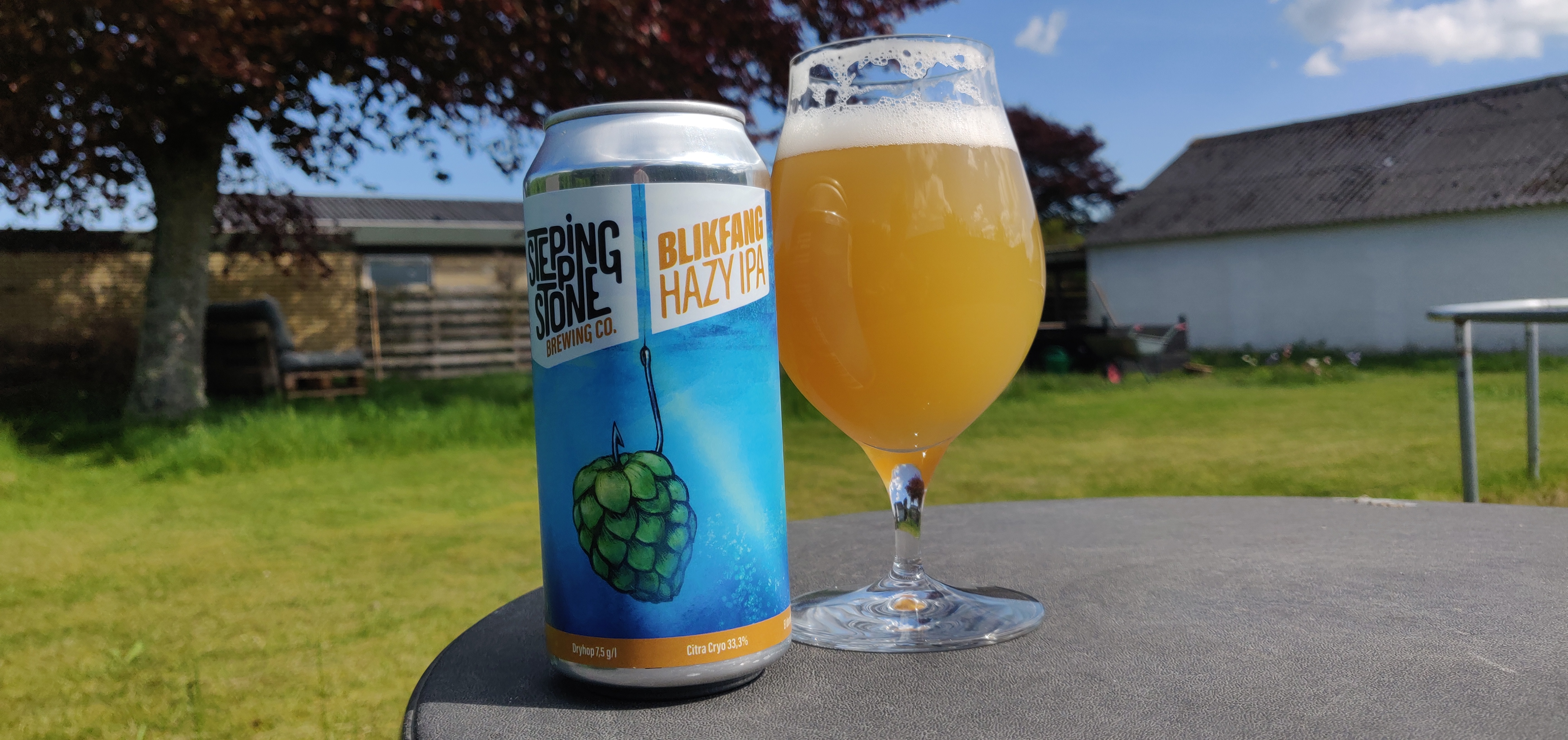 Stepping Stone Blikfang Hazy IPA – Frugtagtig Duft og Tør Eftersmag