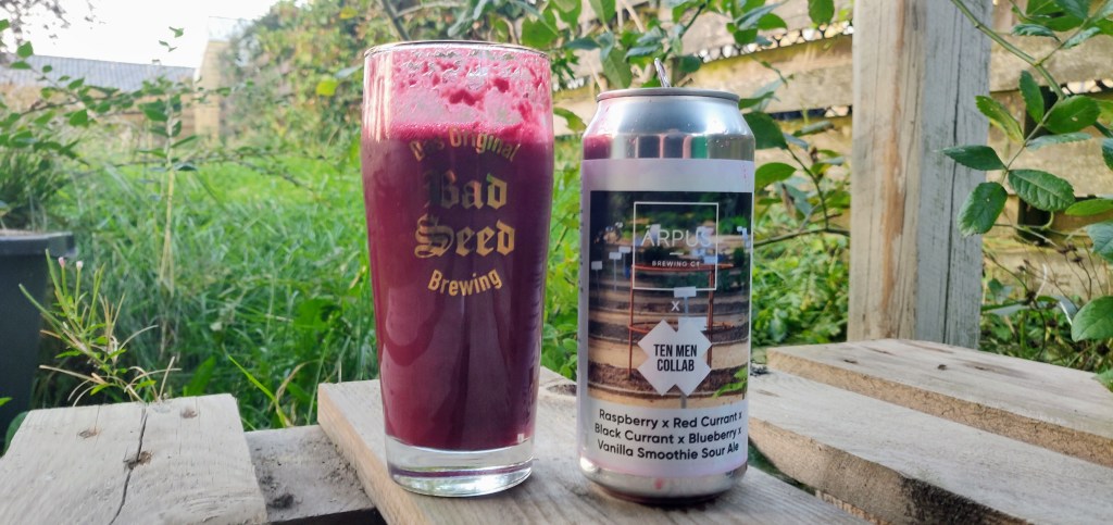 Arpus Brewing Co & Ten Men Brewery – Raspberry X Blueberry X Red Currant X Black Currant X Vanilla Smoothie&nbsp;Sour