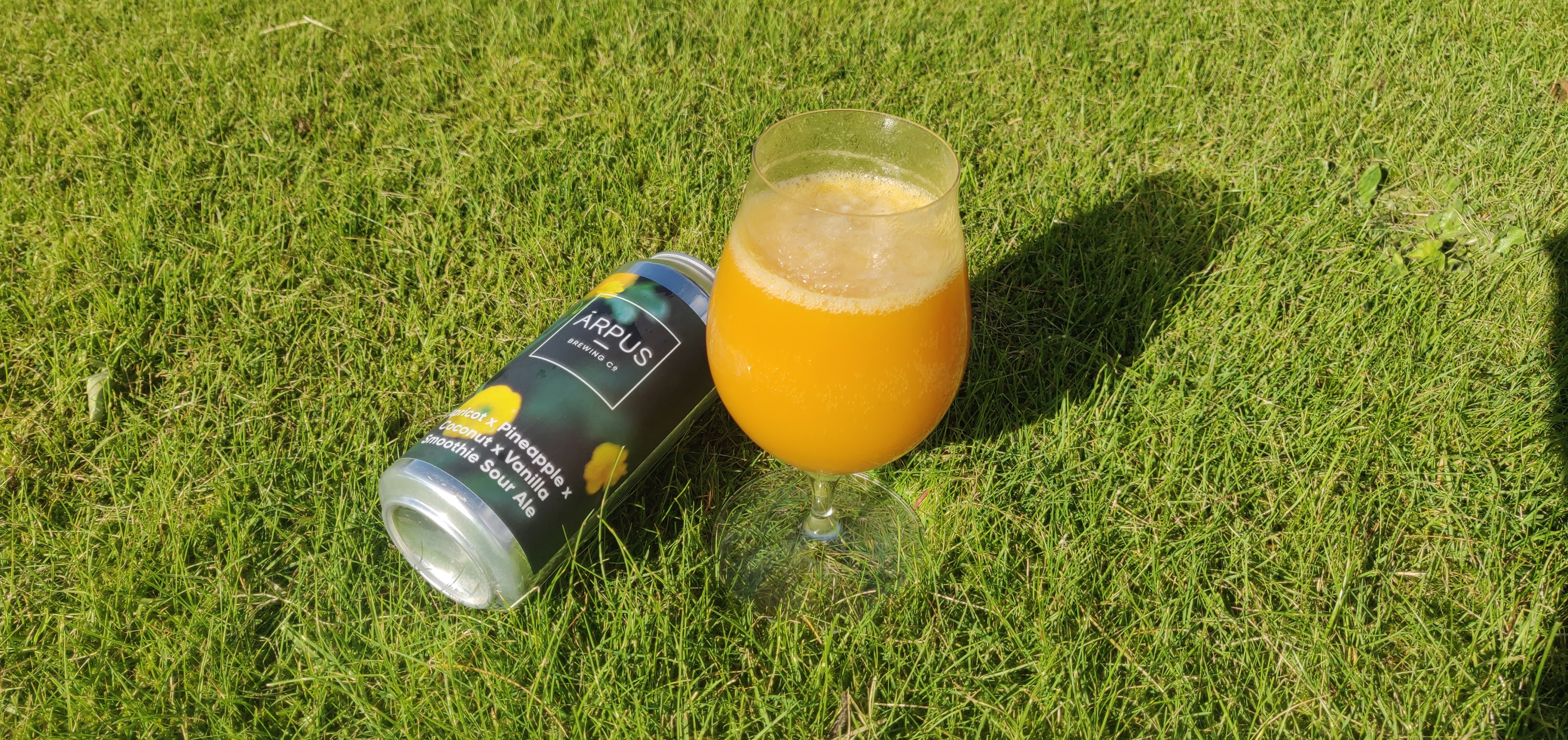 Arpus Brewing Company – Apricot x Pineapple x Coconut x Vanilla Smoothie Sour Ale