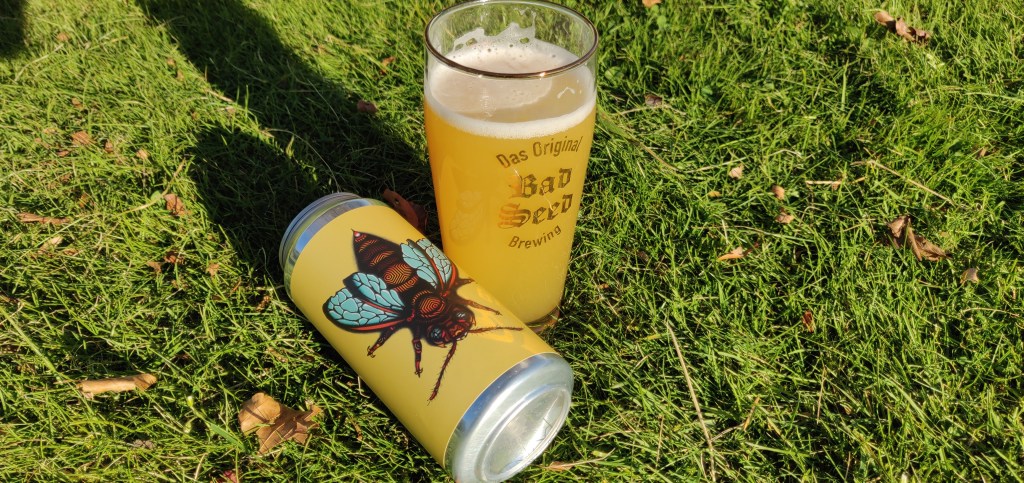 Bad Seed Brewing – Fuzz&nbsp;Buzz
