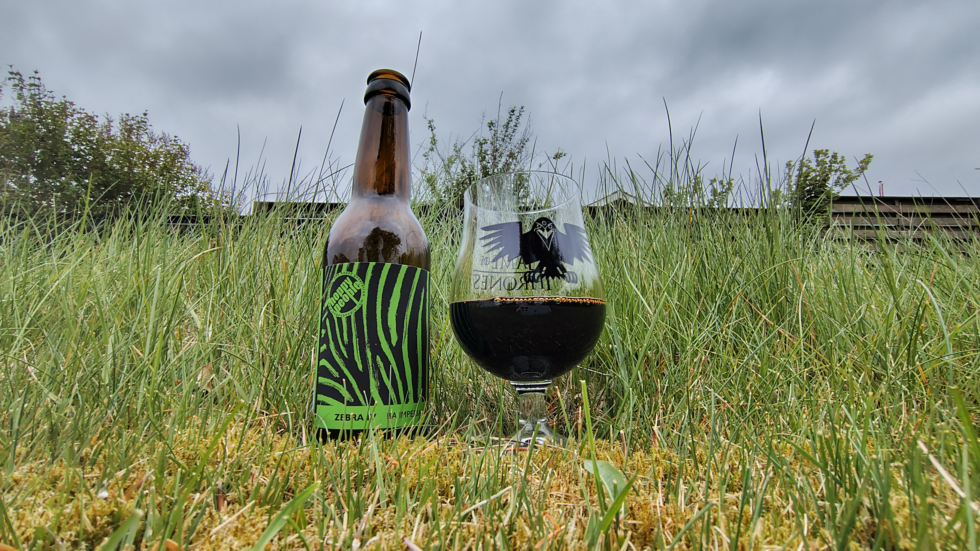 Hoppy People – Zebra IV
